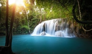 forest-waterfall-thailand-jpg-838x0_q80